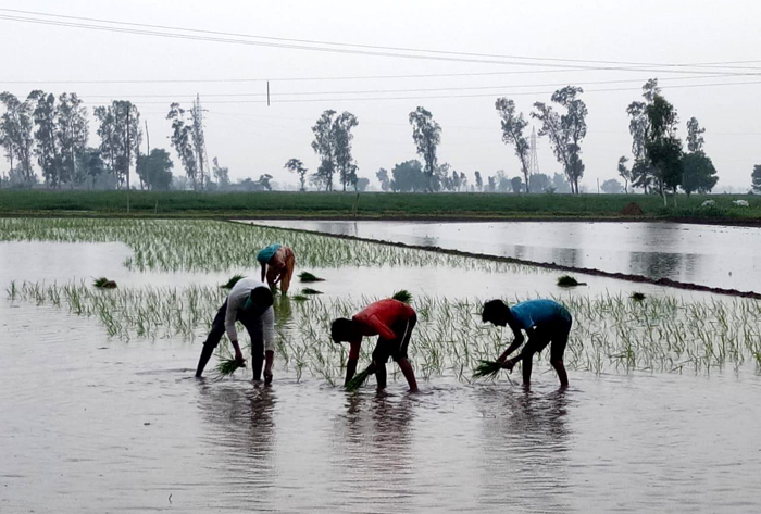 ਹਲਕੀ ‘ਕਿਣ-ਮਿਣ’ ਨਾਲ ਮੌਸਮ ਬਣਿਆ ਖੁਸ਼ਗਵਾਰ