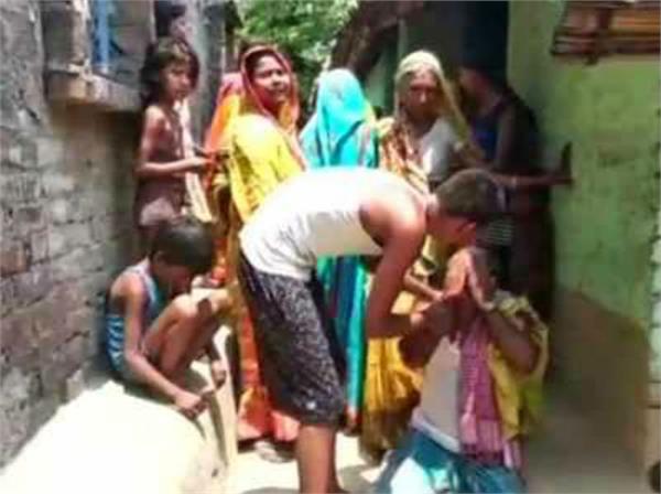 child plucked mangoes from orchard
