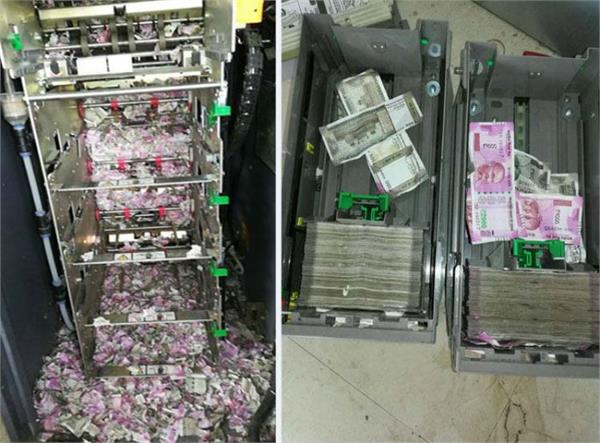 mice bitten notes found in sbi atm