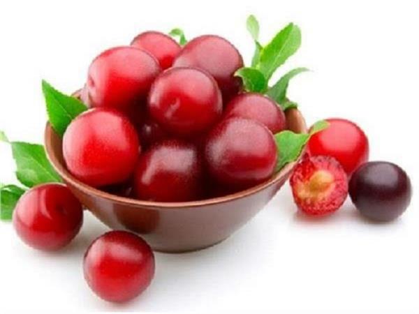 health benefits of plum