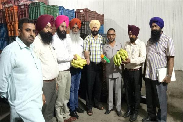 food safety team  checking shops