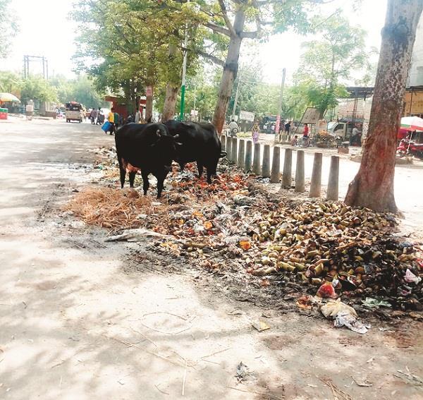 maqsudan sabzi mandi