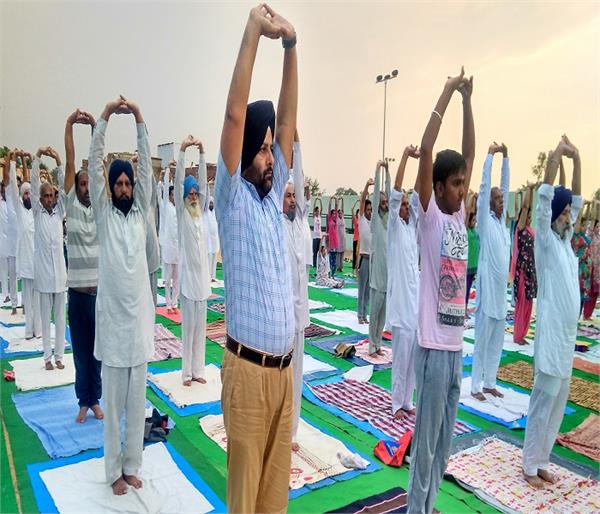 sub division  bhawanigarh  international yoga day 