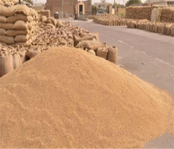 private grain market  land mafia 