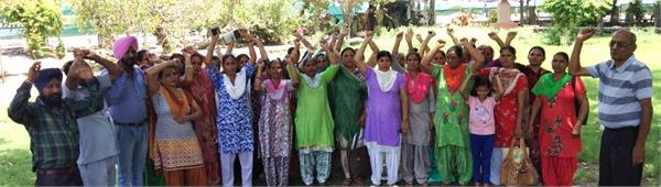 cook union protest