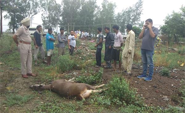 road accident
