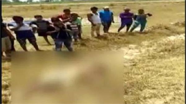 cow murder 2 people strangled