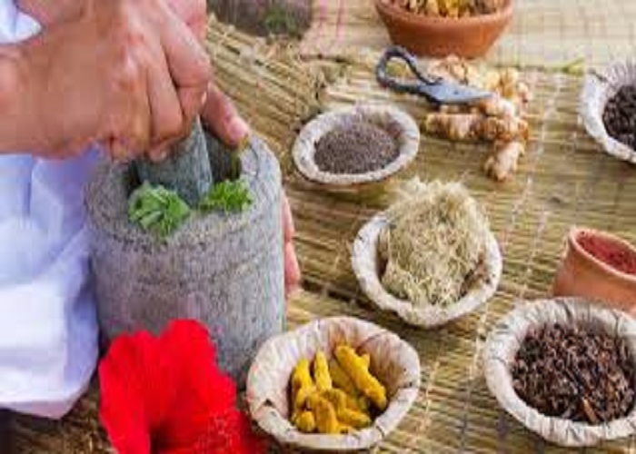 ਸਿੰਗਾਪੁਰ ''ਚ ਰਵਾਇਤੀ ਭਾਰਤੀ ਦਵਾਈਆਂ ਨੂੰ ਮਾਨਤਾ ਦਵਾਉਣ ''ਚ ਕੰਮ ਕਰ ਰਿਹੈ ਭਾਰਤ