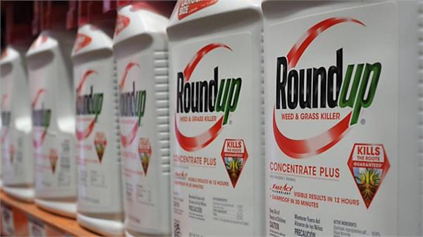 american company   monsanto   trapped in cancer case