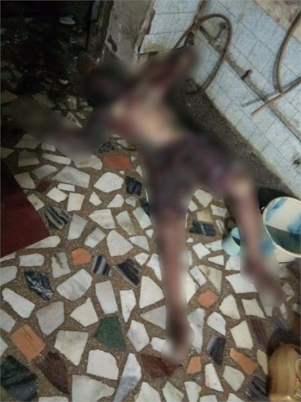 hoshiarpur dead body recovered in house