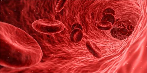 the country first   p null phenotype   doctors is a person of the blood group