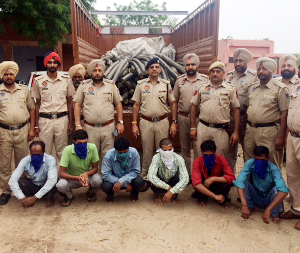 ਇੰਟਰਨੈੱਟ ਦੀਆਂ ਤਾਰਾਂ ਚੋਰੀ ਕਰਨ ਵਾਲੇ ਗਿਰੋਹ ਦੇ 6 ਮੈਂਬਰ ਗ੍ਰਿਫਤਾਰ