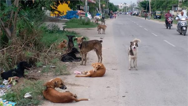 district administration serious