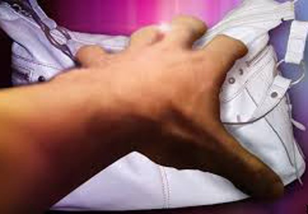 ਅੌਰਤ ਦਾ ਪਰਸ ਝਪਟਿਆ