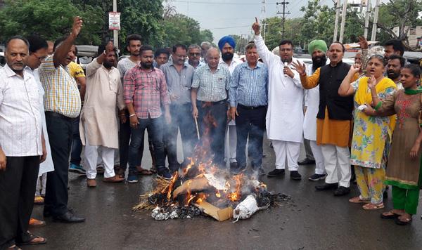 akali bjp workers foil punjab government