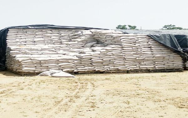 pirates in pantergen  s warehouse