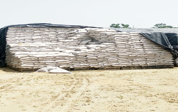 ਪਨਗ੍ਰੇਨ ਦੇ ਗੋਦਾਮ ’ਚ ਡਾਕਾ