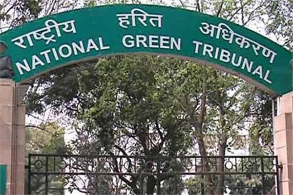 ngt stops till 19 till cutting trees in south delhi