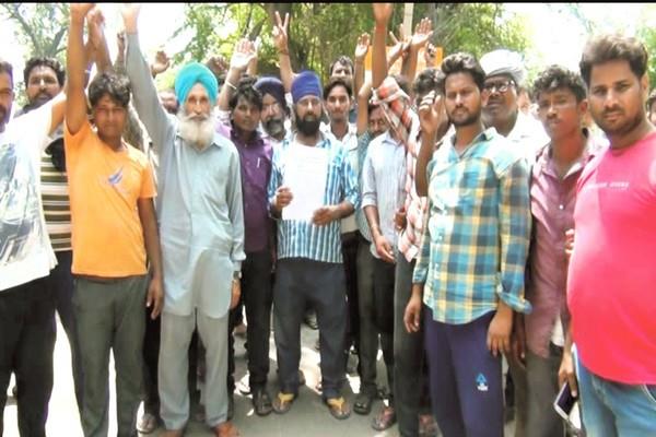 chairman market vegetable