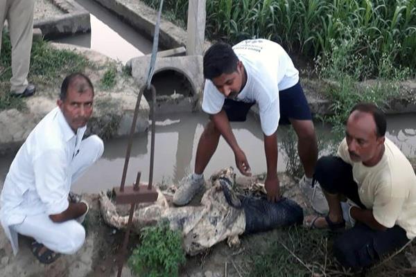 death body recovered