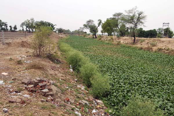 cleanliness  people started harassing the people