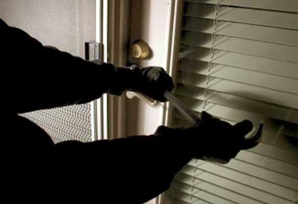 the thieves theft the house