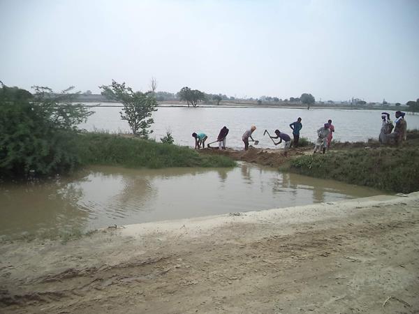 the disruption in the brera drain