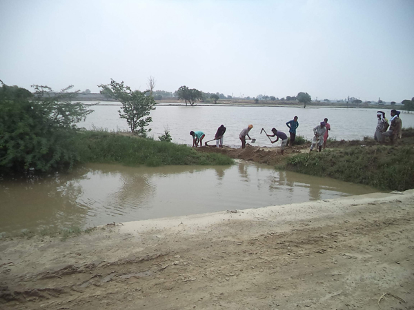 ਬਰੇਟਾ ਡਰੇਨ ’ਚ ਪਿਆ ਪਾੜ, ਫਸਲਾਂ ਦਾ ਹੋਇਆ ਭਾਰੀ ਨੁਕਸਾਨ