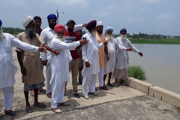 ਮੀਂਹ ਕਾਰਨ ਡੇਢ ਸੌ ਏਕਡ਼ ਝੋਨੇ ਦੀ ਫਸਲ ਬਰਬਾਦ