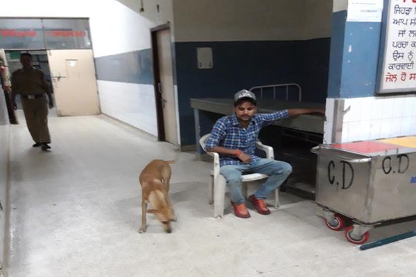 civil hospital dog horror