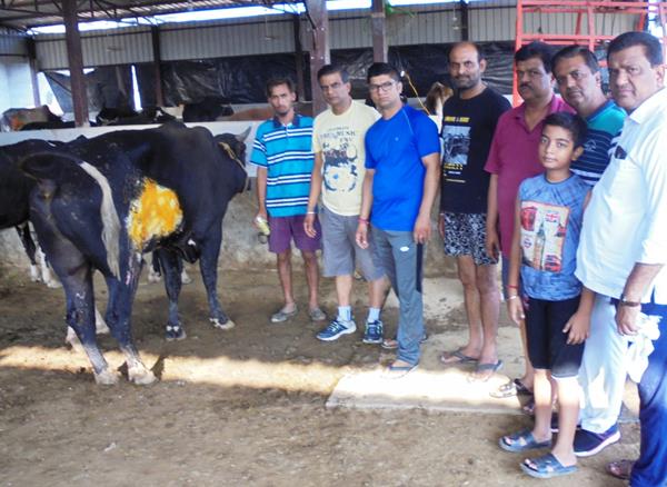 death in treatment of two animals