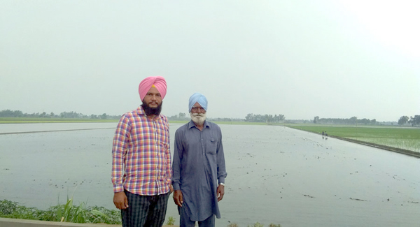 ਮਜ਼ਦੂਰਾਂ ਦੀ ਘਾਟ ਕਾਰਨ ਝੋਨੇ ਦੀ ਲਵਾਈ ਪੱਛਡ਼ੀ