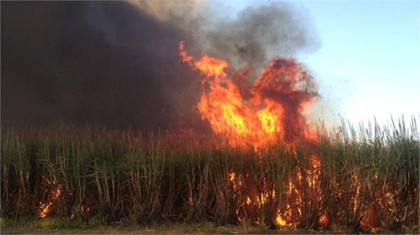 fire in farm