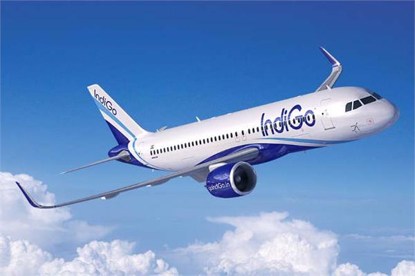 indigo profit