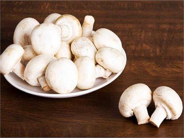 amazing benefits of eating mushrooms