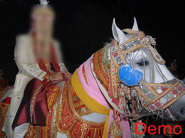 ਦੇਖਿਓ ਕਿਤੇ ਘੋੜੀ ਚੜ੍ਹਨ ਤੋਂ ਪਹਿਲਾਂ ਹੀ ਨਾ ਟੁੱਟ ਜਾਣ ਸੁਪਨੇ!