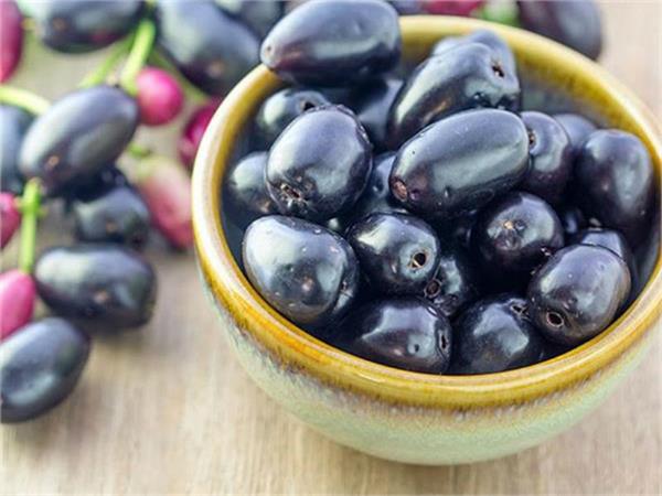 jamun diseases in the body