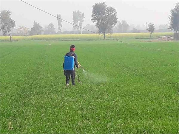 arranged water management in paddy