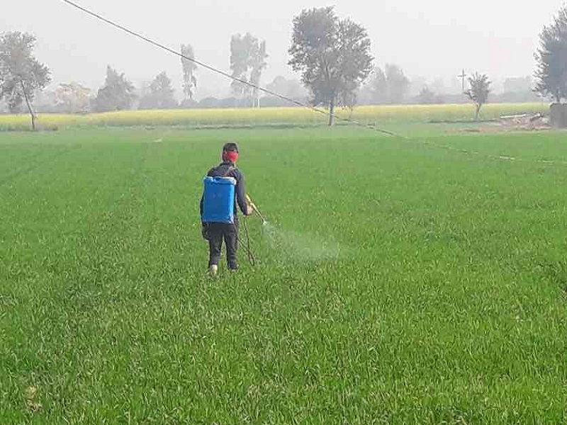 ਝੋਨੇ ਵਿਚ ਪਾਣੀ ਦਾ ਸੁਚੱਜਾ ਪ੍ਰਬੰਧ