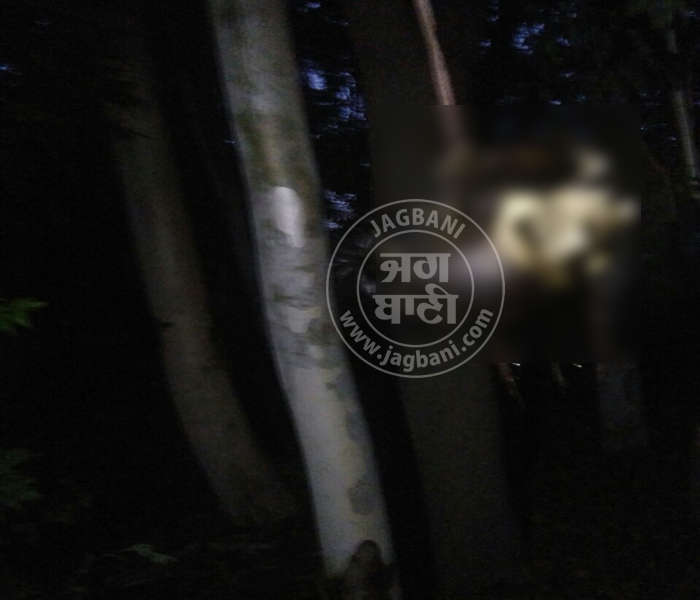 ਜੰਗਲ 'ਚ ਦਰੱਖਤ ਨਾਲ ਲਟਕਦੀ ਮਿਲੀ ਖੋਪੜ੍ਹੀ, ਫੈਲੀ ਦਹਿਸ਼ਤ