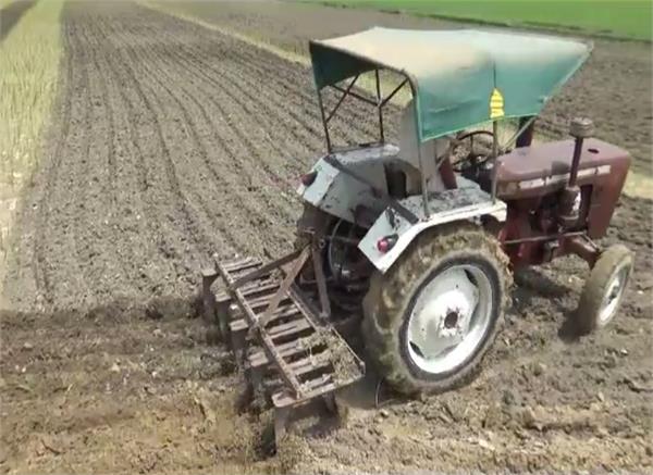 farmers  crops