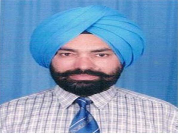 make tree plantation successful