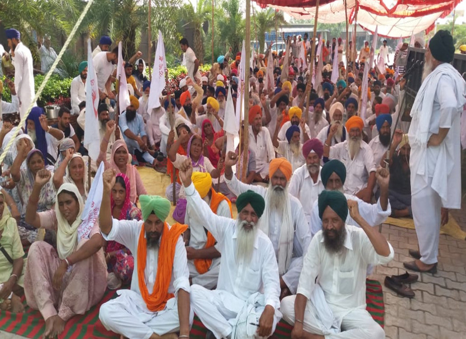 ਰਾਣਾ ਖੰਡ ਮਿੱਲ ਵੱਲ 135 ਕਰੋੜ ਦੇ ਬਕਾਏ ਖਿਲਾਫ ਧਰਨਾ ਸ਼ੁਰੂ