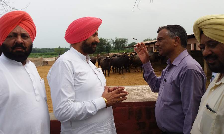 ਕਿਸਾਨ ਖੇਤੀਬਾੜੀ ਦੇ ਨਾਲ-ਨਾਲ ਡੇਅਰੀ ਧੰਦੇ ਨੂੰ ਵੀ ਅਪਣਾਉਣ : ਬਲਵੀਰ ਸਿੰਘ ਸਿੱਧੂ