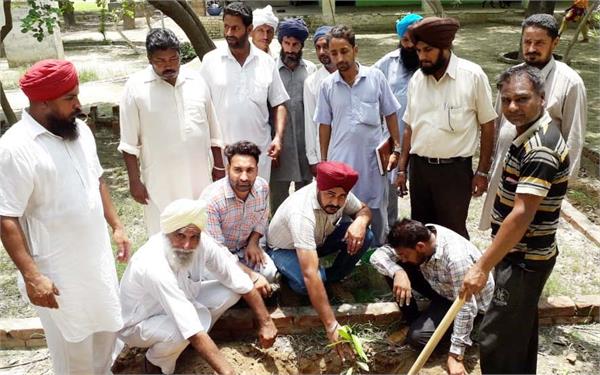 budhlada government school plants
