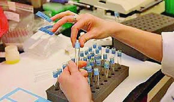 ਹੁਣ ਲਾੜਿਆਂ ਦੇ ਵੀ ਹੋ ਸਕਦੇ ਹਨ ਡੋਪ ਟੈਸਟ