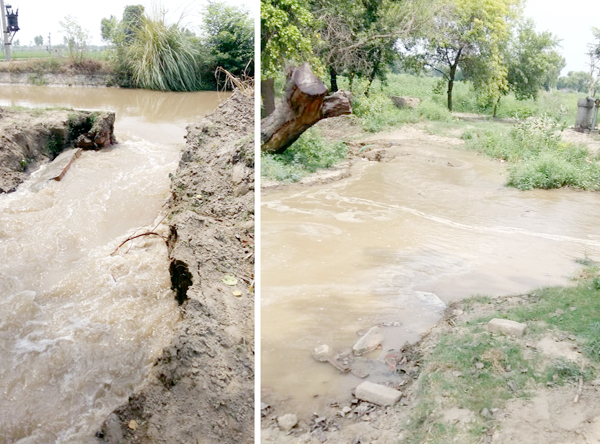 ਪੰਜਾਬਾ ਮਾਈਨਰ ਟੁੱਟਾ ; ਸੈਂਕਡ਼ੇ ਏਕਡ਼ ਫਸਲ ਡੁੱਬੀ