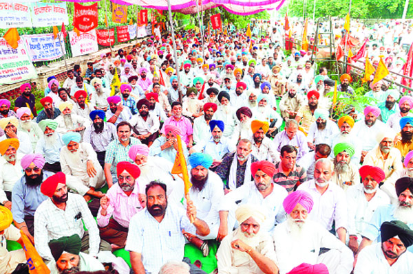 ਹਜ਼ਾਰਾਂ ਕਰਮਚਾਰੀਆਂ ਵੱਲੋਂ ਬਿਜਲੀ ਨਿਗਮ ਦੇ ਮੁੱਖ ਦਫ਼ਤਰ ਅੱਗੇ ਧਰਨਾ