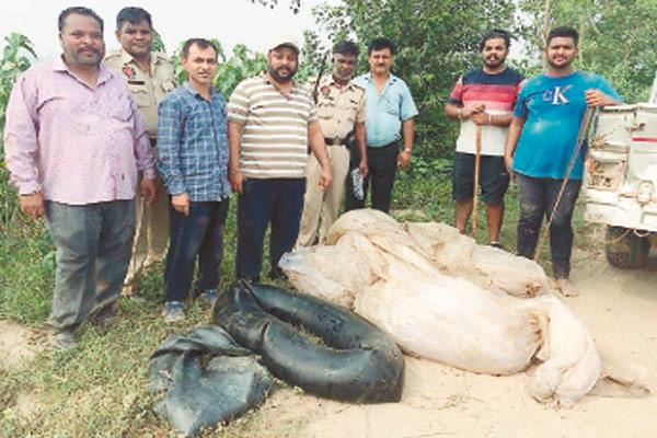 excise department hold liquor