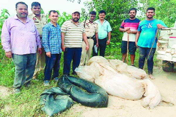 ਐਕਸਾਈਜ਼ ਵਿਭਾਗ ਨੇ ਫੜੀ 3400 ਕਿਲੋਗ੍ਰਾਮ ਲਾਹਣ ਤੇ 170 ਲਿਟਰ ਕੱਚੀ ਸ਼ਰਾਬ